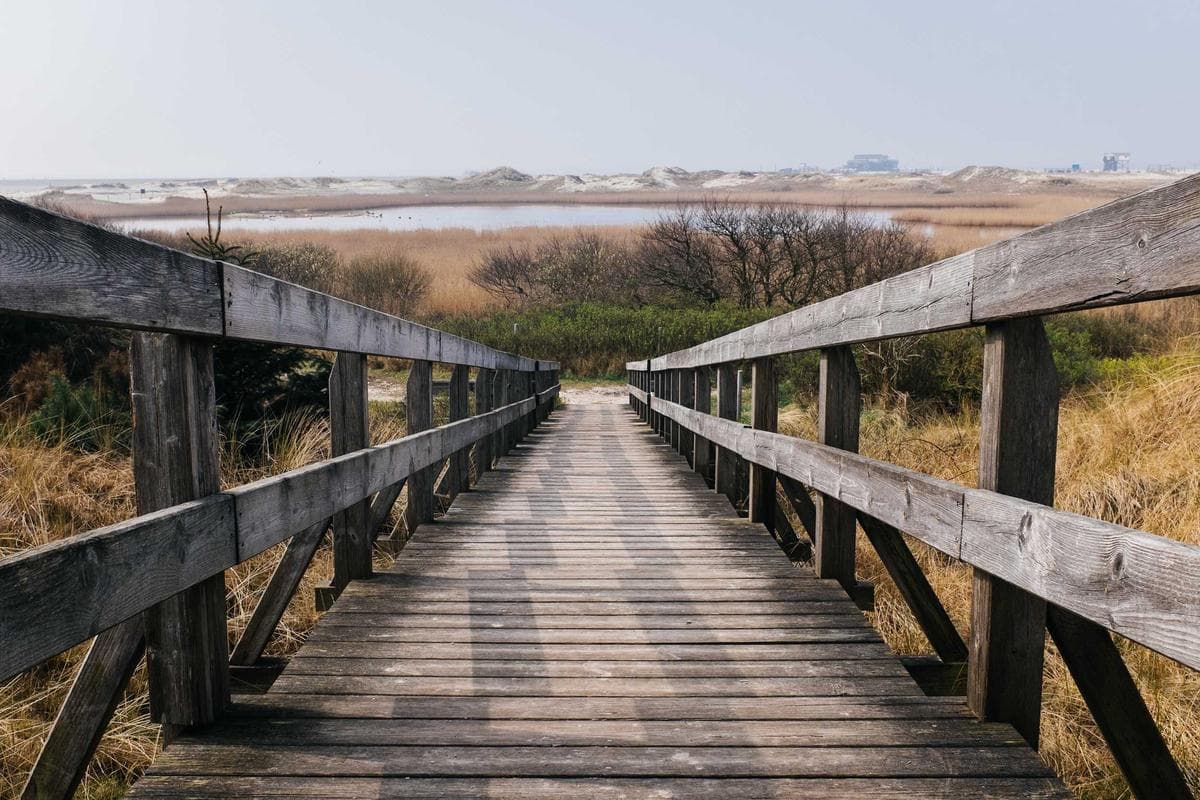QA Premarital Counseling — Potomac Practice #11 5