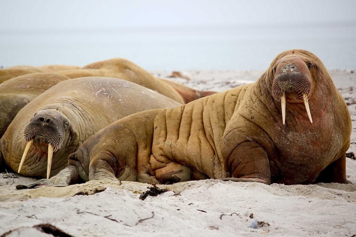 Capitol Row Events Hall — Tysons Book #13 3